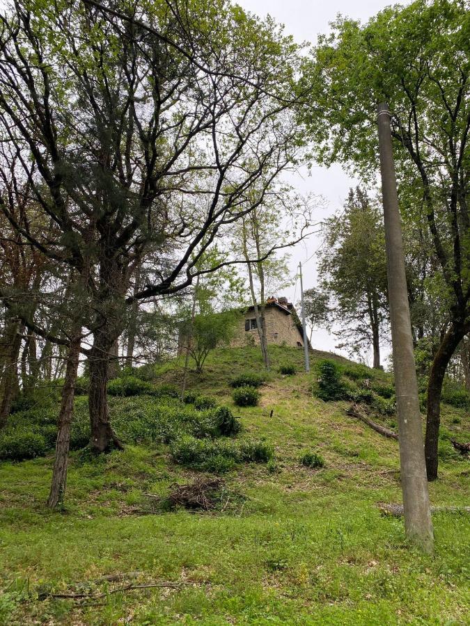 Naturemugello Oasi Naturista Dicomano Exteriör bild