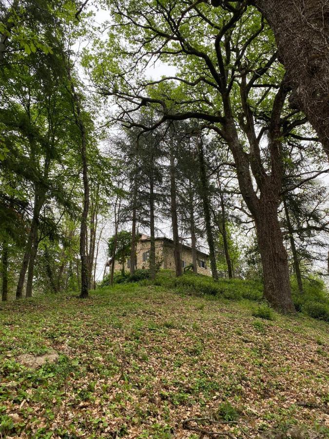 Naturemugello Oasi Naturista Dicomano Exteriör bild
